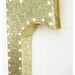 16" Glitter Marquee Letter LED Night light