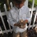 Personalized Country Chic Wedding Ring Bearer Wooden Truck with Burlap Ring Pillow Alternative