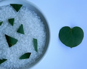 Eucalyptus Spearmint-Awakening Bath Salts with Dead Sea & Epsom Salts 10 oz.