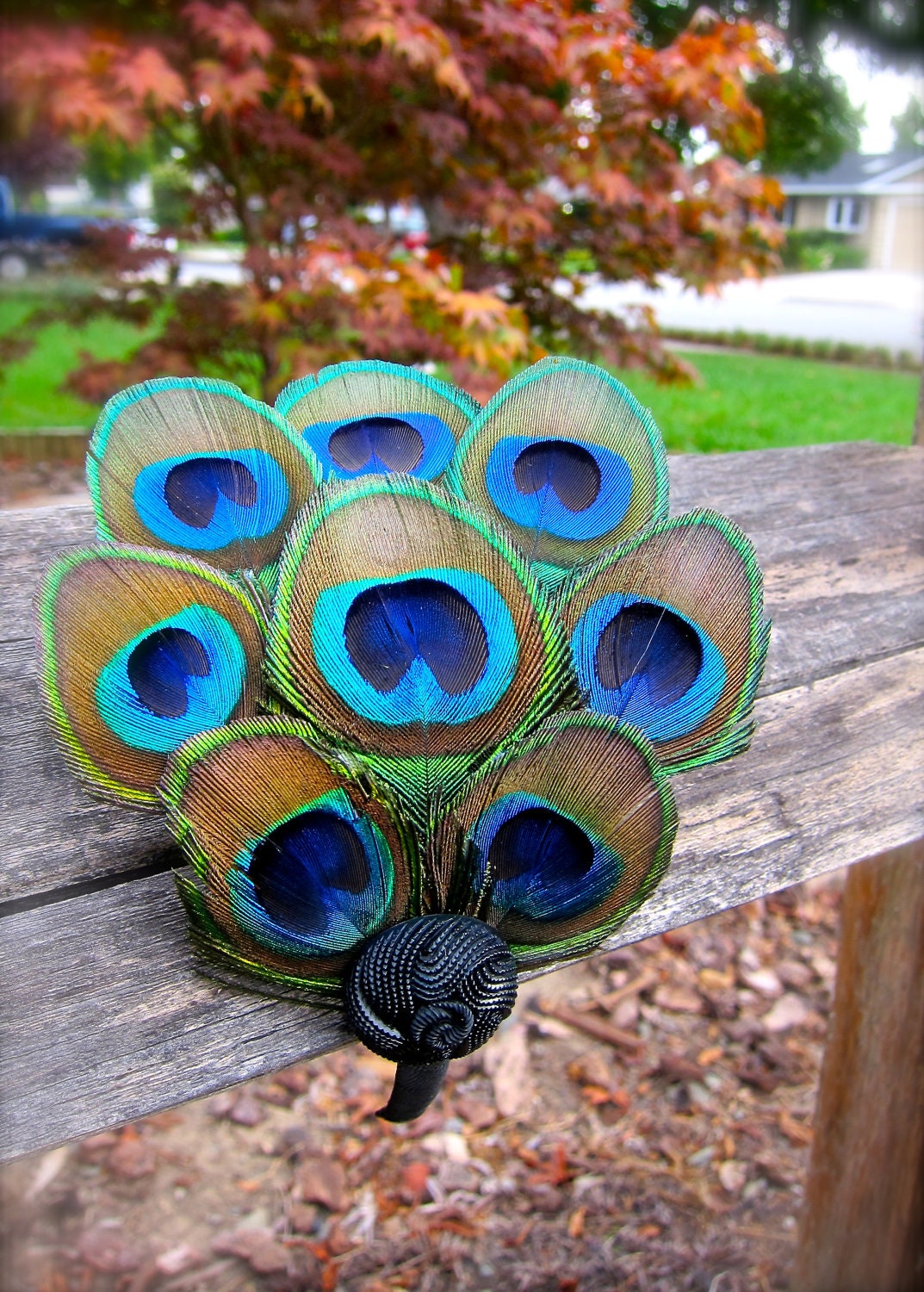 ELEANOR- Comfortable Peacock Feather Headband with 8 Peacock Eyes