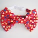 Cat Bow Tie - Choose Your Own (Cotton Prints)