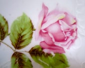 Rose China Plate
