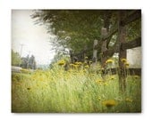 Country Landscape Photography, flower, fence, bright, green, trees, wildflowers, soft focus, green grasses, country living, cottage chic