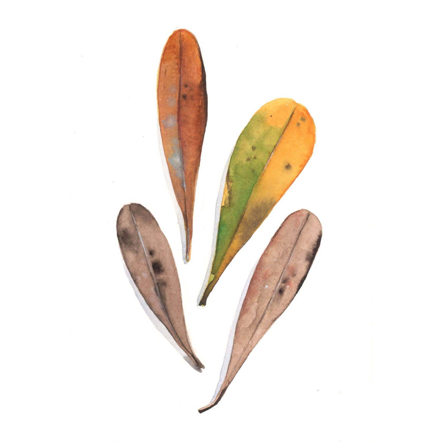 Banksia Leaves Painting - nature natural Original watercolor painting