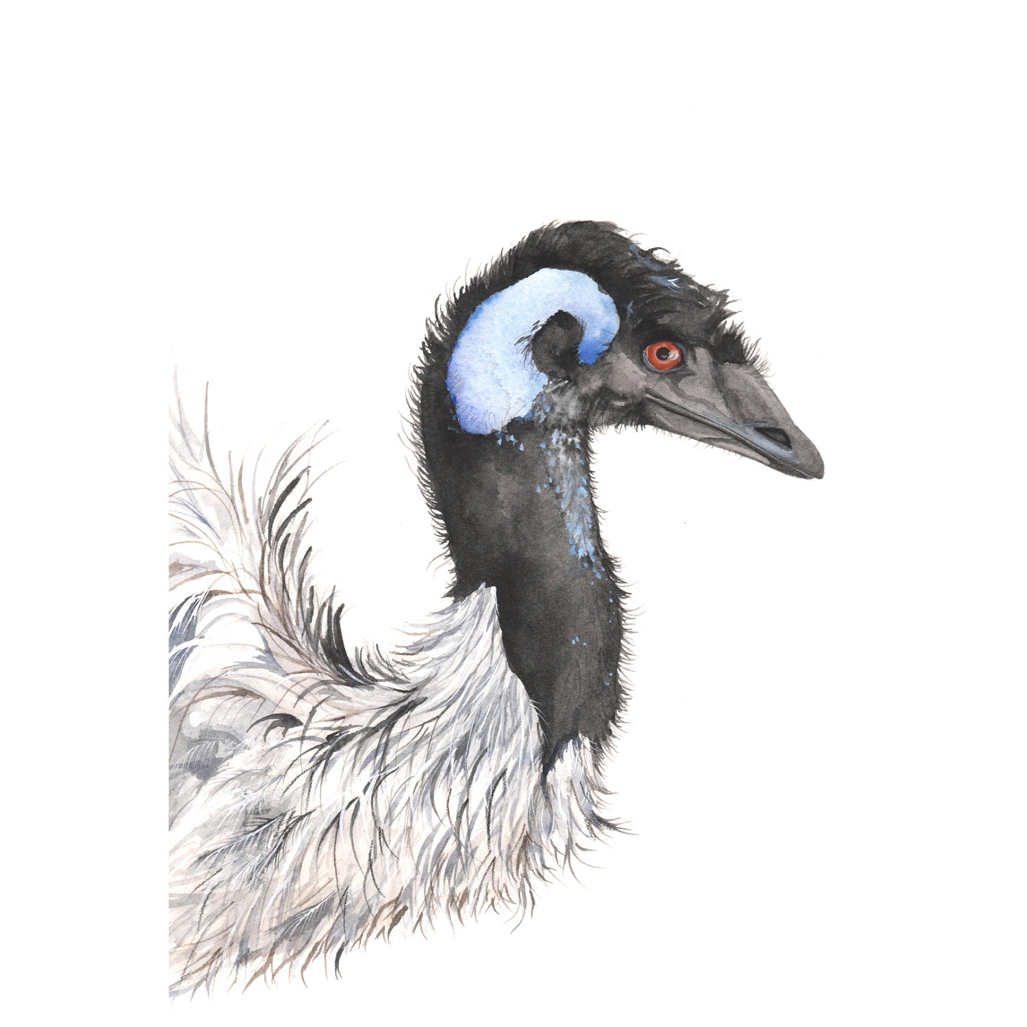 Emu Painting - E050- Print of watercolor painting A4
