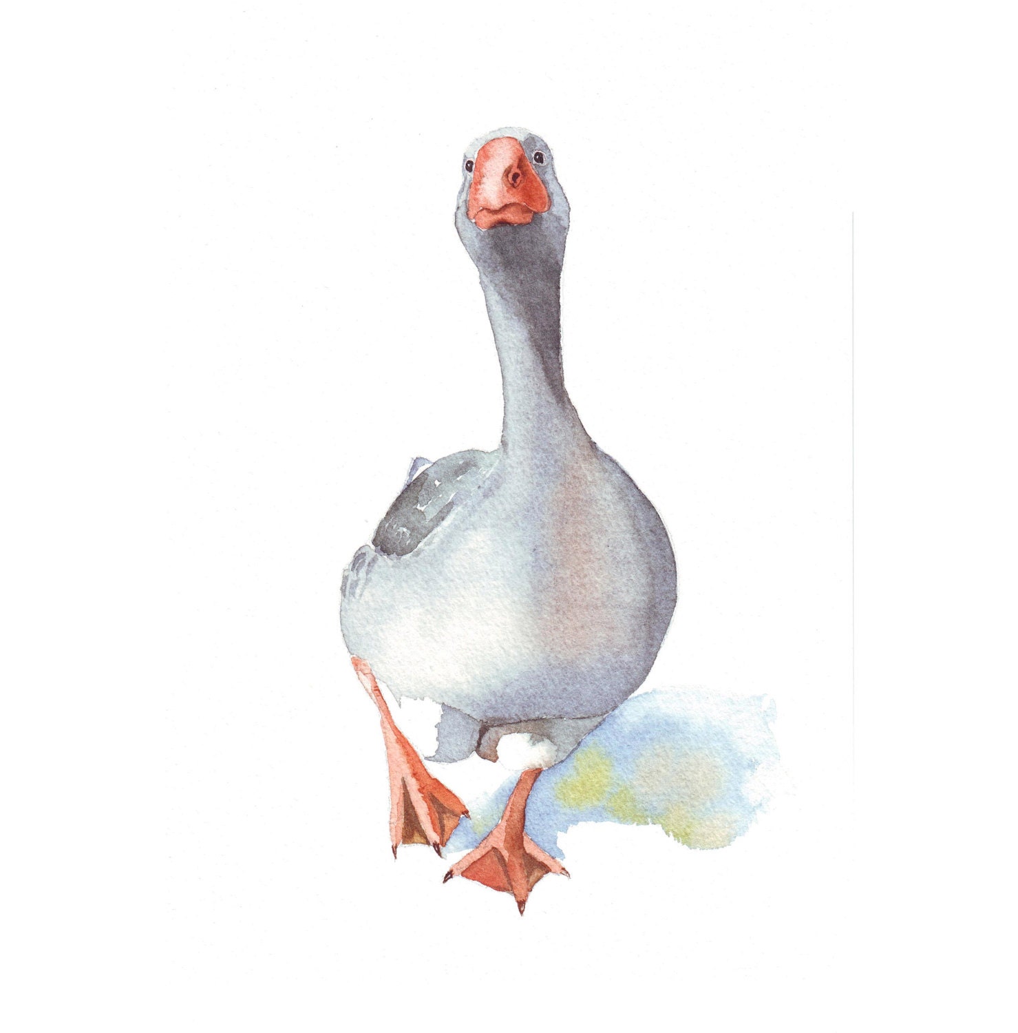 Goose Painting - nature bird art-  print of watercolor painting - A4 print