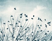 Birds Flying Photography - light blue grey white black sky print nature photography pale wall art gray fly fine art picture - 8x8 Photograph