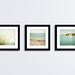 Coastal Print Set - beach grass 3 photos blue photography green teal vintage white brown beige cream sailboat ocean - Three 5x5 Photographs