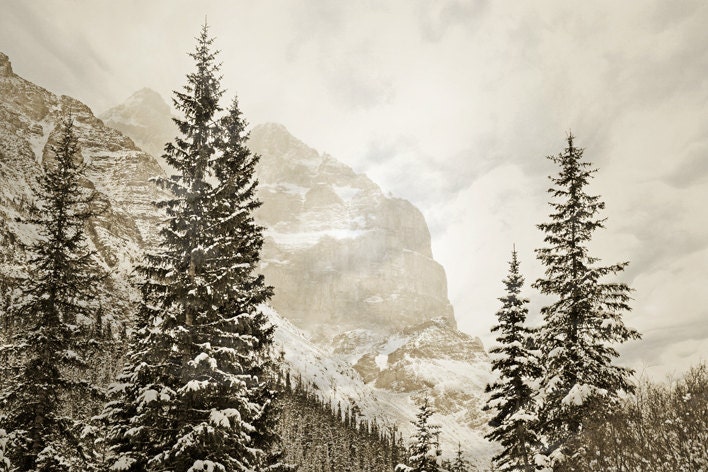 Canadian Rockies Winter Photography Print 11x14 Fine Art Banff Canada Mountain Forest Dreamy Landscape Photography Print.