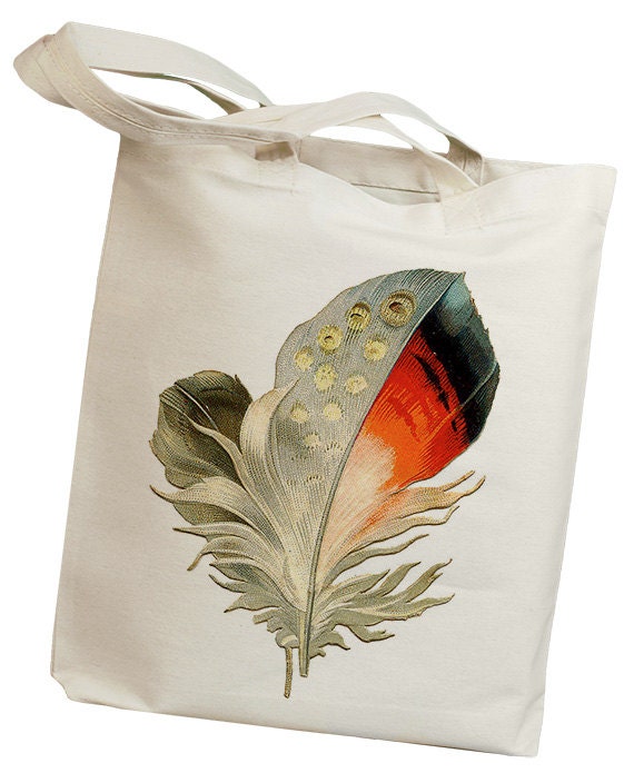 Colorful Feather 02 Vintage Eco Friendly Canvas Tote Bag (ilp017)