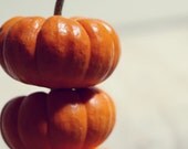 Pumpkin Photograph- fall, orange, harvest, food, kitchen decor, whimsical, autumn, fine art photography, fall decor, 8x10 print