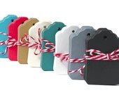 Small gift tag die cuts . 50 blank mini tags . 1.25 by 1.75 . die cut . gift embellishment . small tags . choose your colors
