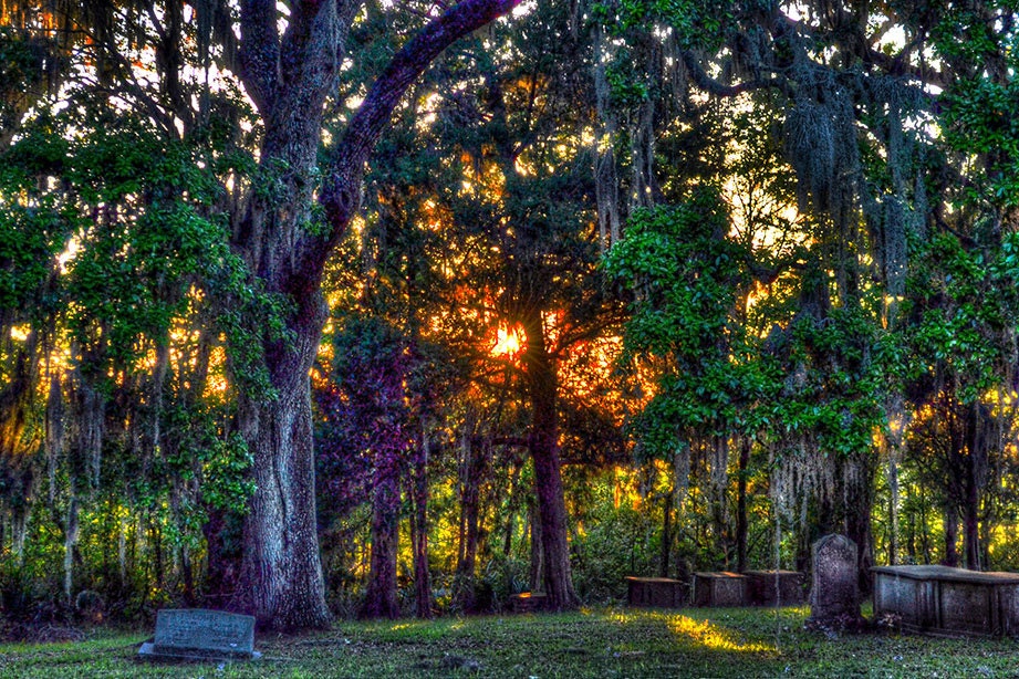 Charleston Cemetery 11x14 Fine Art Canvas