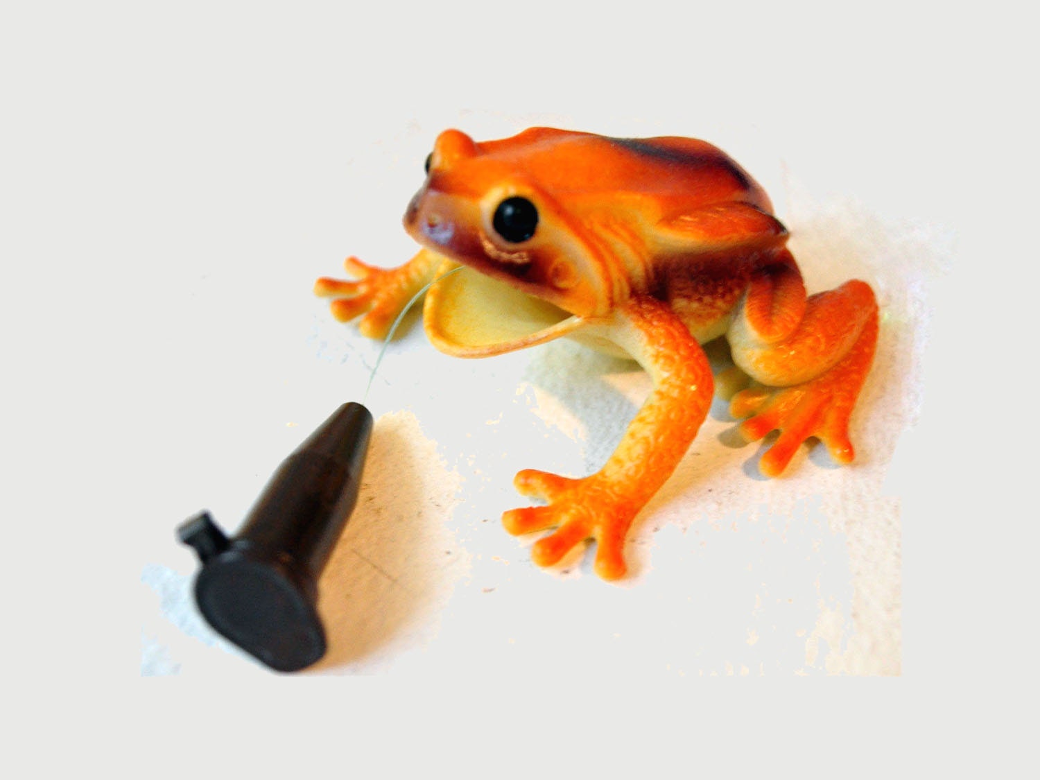 Bull Frog Geocache - Orange