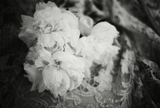 La poésie des jours -  fine art film print 5 X 7