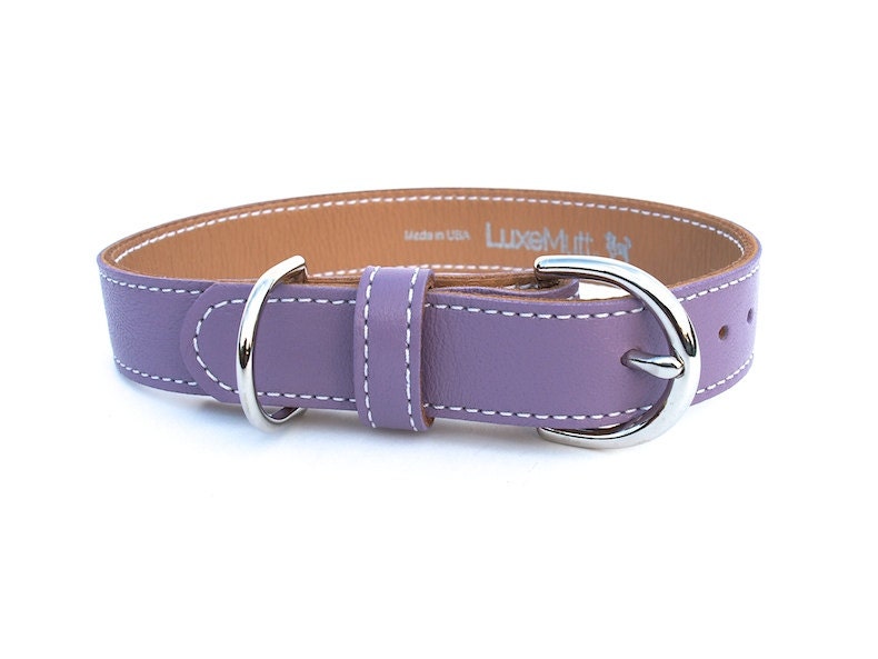 MINIMALIST Butterscotch Leather Dog Collar - Grapeseed