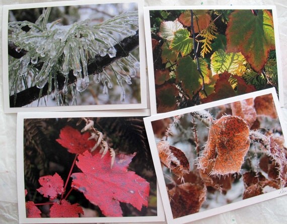 Reserved for Maya - Set of 4 photo cards