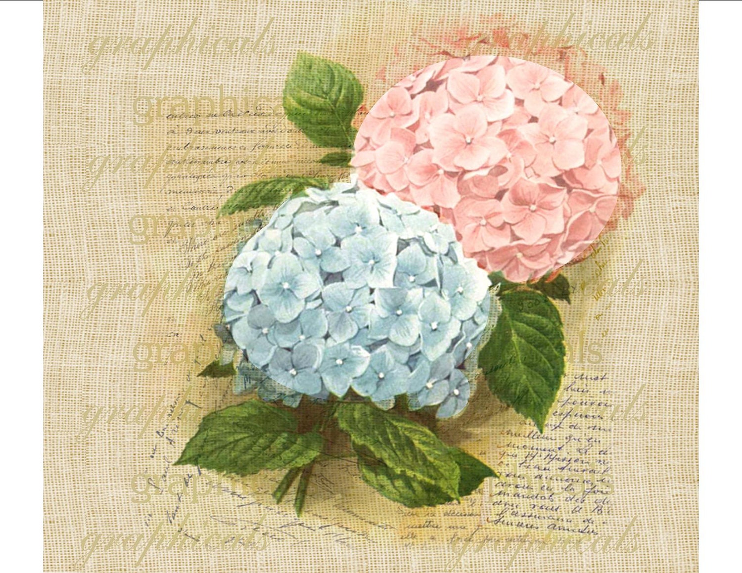 Hydrangea pink blue French ephemera Digital download graphic image for iron on fabric transfer burlap decoupage pillows totes No. 1708