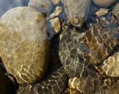 River rock art, stone pebble photography, clean fresh water 5x7 photo, earth tone decor, crystal clear river picture, nature photography