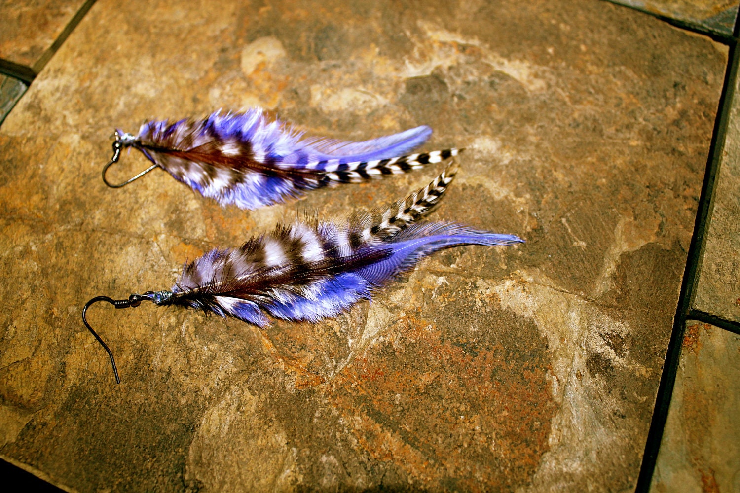 Purple and Black/White Striped REAL feather Earrings - Wire wrapped and cruelty free - Boho, Hippie, Nature Chic