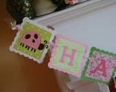 Ladybug Happy Birthday Banner, Ladybug Party, Ladybug Theme, Happy Birthday Banner, Pink Green Il_170x135