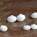 Ocean Flower - White Real Seashell Stud Earrings