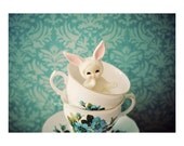 Found You , Photograph Print