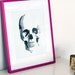 8 x 10 Skull Watercolor Giclee Print