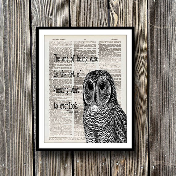 owl dictionary art print book page decor bird vintage home wall hanging quote
