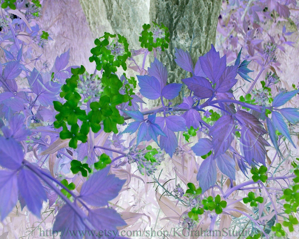 Altered Art Surreal Floral Print Green Flowers Purple Leaves 8x10 Garden Photography by K. Graham Green Teal Lavender Grey
