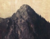 Top of the Mountain- 8 x10 Photography Art Print- Olympic National Forest