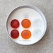 Glass Gem Magnets - Pretty Poppy - FREE SHIPPING