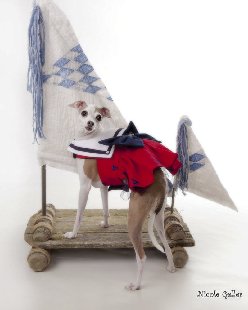Couture Dog Sailor  Dress, Red White Blue