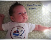 Baby Nautical Onesie Stickers...Sailboats and Whales...Perfect Baby Shower Gift for New Moms... Monthly Stickers