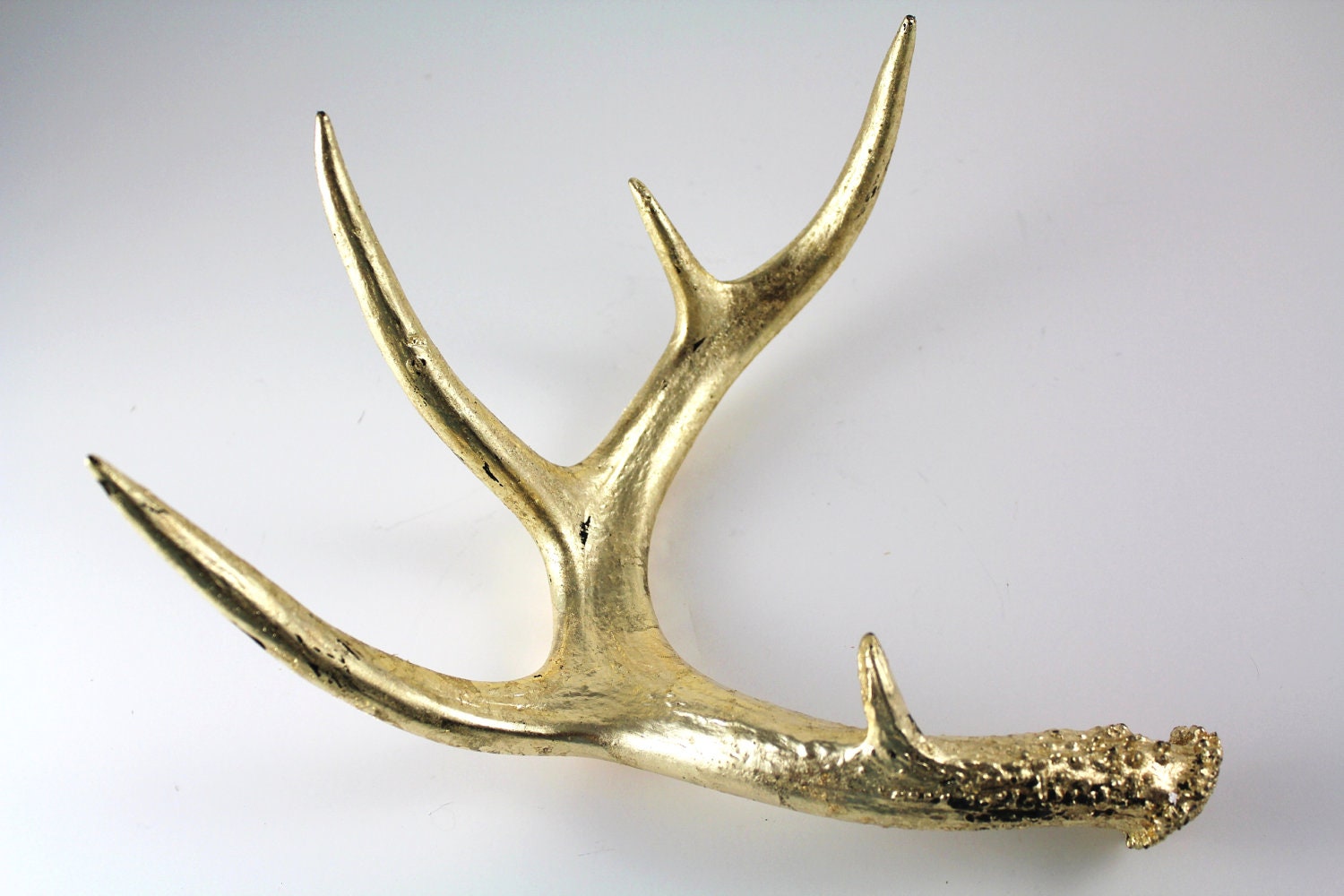 Gold Leaf Deer Antler Art Sculpture High Gloss Black Base