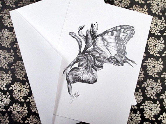 Fine Art Blank Greeting Cards Stationery Black and White Blank Note Cards Butterfly Iris Art Print Stationary Pencil Drawings