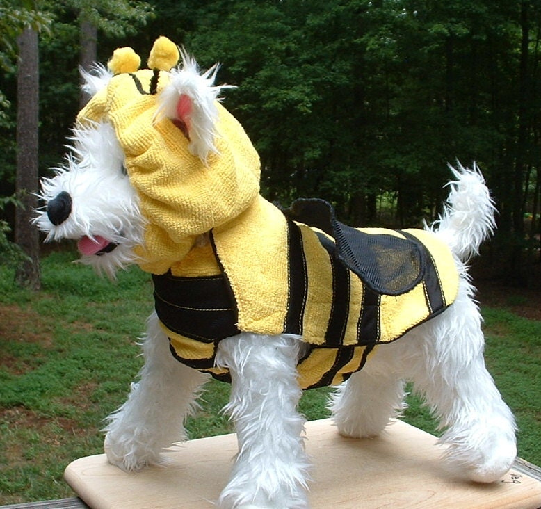 bumblebee