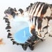 Light Blue Soy Candle in Seashell- Black and White