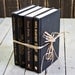 Vintage Books, Instant Library Collection, Book Bundle, Photography Props, Shades of Black Books ,Shabby Chic