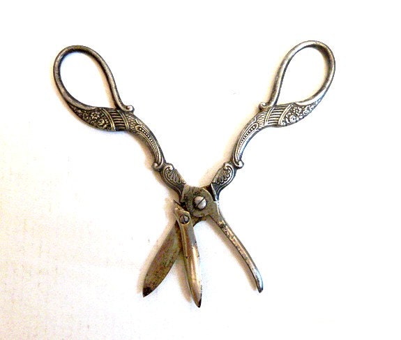 Antique French scissors .Grape scissors .Grape shears .Housewares , collectibles .Tablewares.Silver - CabArtVintage