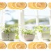 1 Lemon Verbena Lift Sachet Scented, Drawer Freshener, Home Decor Fragrance, Pastel Green Yellow, Modern Botanical, Herbal, Large