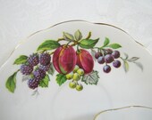 Fall Harvest Fruits- Queen Anne Vintage Teacup and Saucer- Fine Bone China- Made in England- Footed, Scalloped
