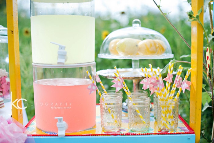 Strawberry Lemonade Stand Stripey Party Straws - Set of 25