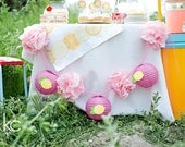 Strawberry Lemonade Stand Lantern and Hand-dyed Flowers Banner - 5ft
