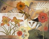 Barn Owl Collage Mixed Media Original Painting