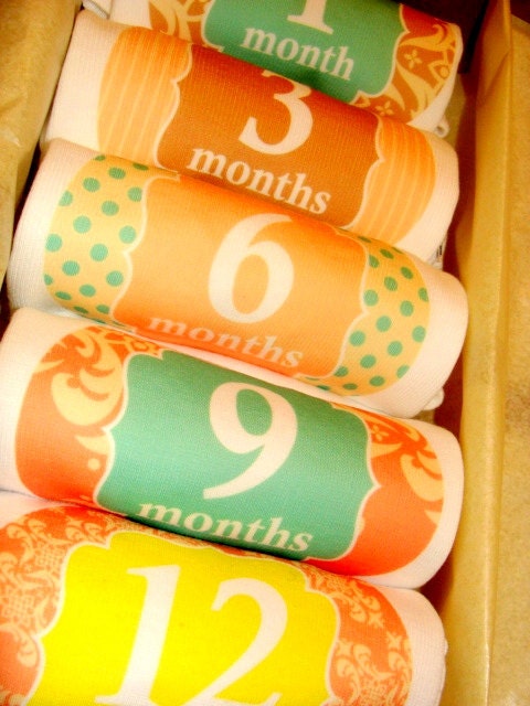Set of 5 Month 2 Month Beautiful Girl Tiffany Collection Onesies, Perfect Baby Shower Gift, Comes in Gift Box