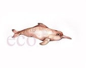 10x8 inch Pink Dolphin Original  WildLife watercolor painting