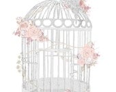 A3 Textured pencil Bird cage illustration