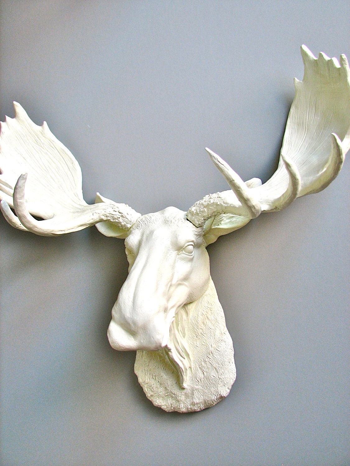 Faux Taxidermy Moose Head Wall Hanging: Max the Moose