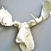 Faux Taxidermy Moose Head Wall Hanging: Max the Moose